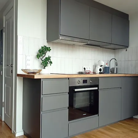 Spacious Loft In Centre * Vilnius