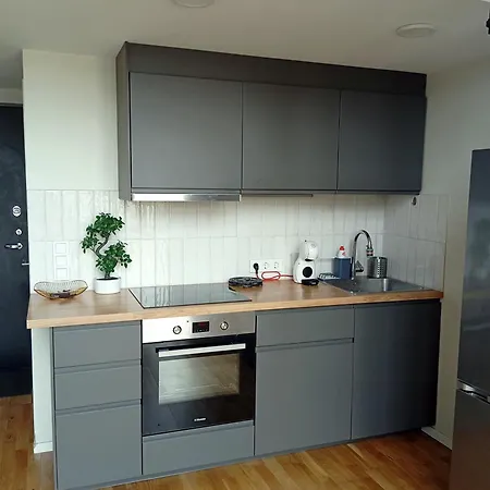 Apartman Spacious Loft In Centre *