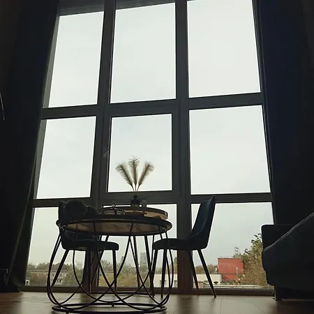 Spacious Loft In Centre Apartment *
