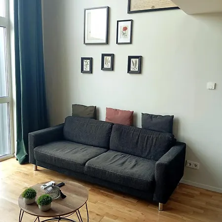 Spacious Loft In Centre *