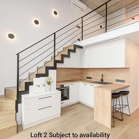 Spacious Loft In Centre Apartment Vilnius